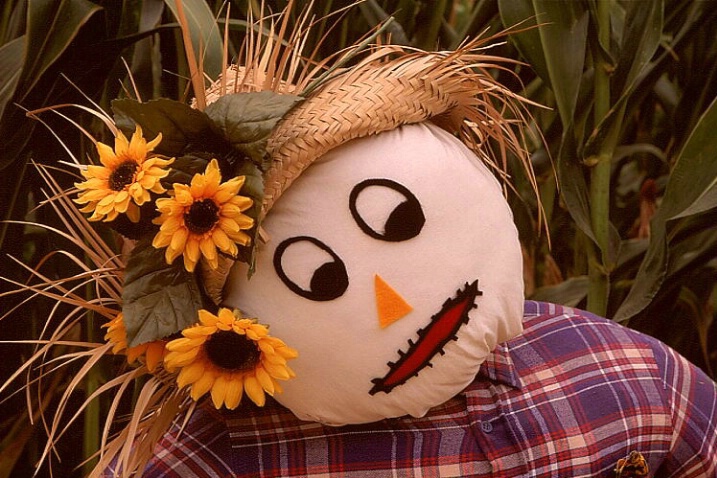 Scarecrow 3a