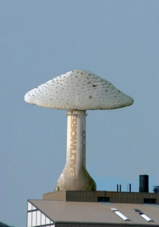 Nuclear mushroom