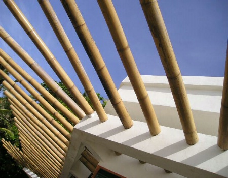 Bamboo Facade