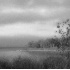 © Carolyn M. Fletcher PhotoID# 239808: Dreamy Fall Cove