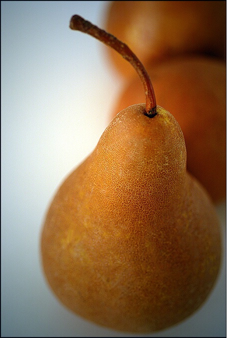 bosc pear