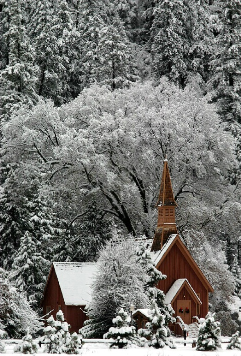 Yosemite Cathedral