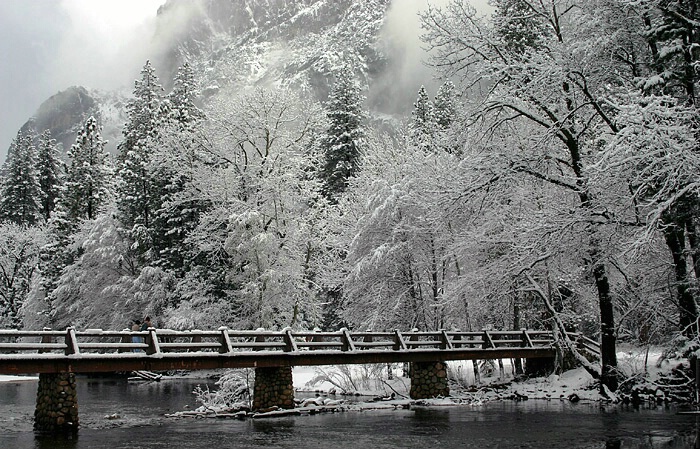Bridge to Winter