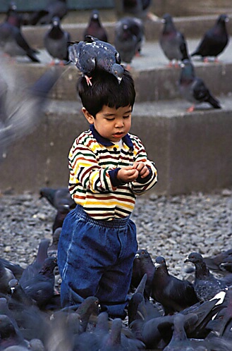 Chris Feeding Pigeons