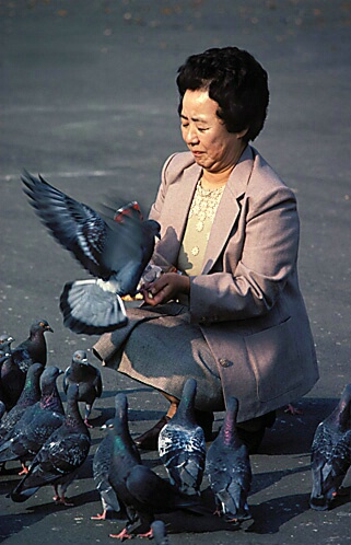 Woman Feeding Pigeons