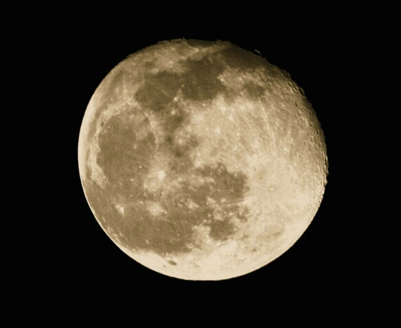 Winter Full Moon - ID: 290058 © John D. Jones