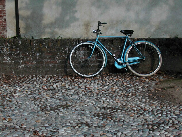 The blue bike