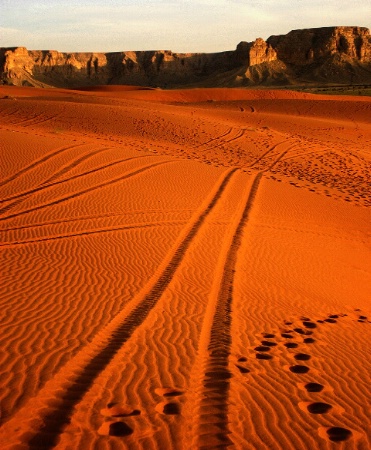 Tracks Through Red Sand