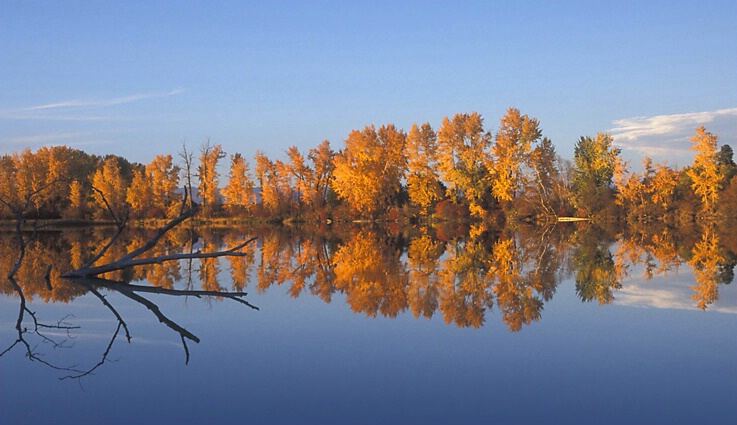 reflections at dusk