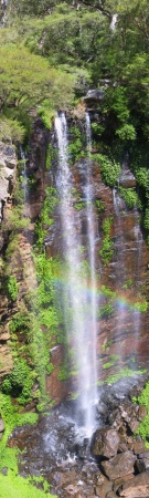 Queen Mary Falls 
