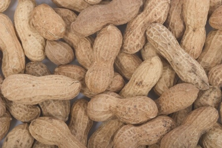 Peanuts - Before