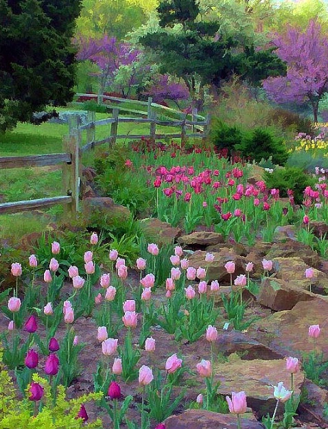 Floral Fenceline