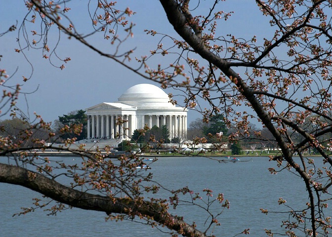 Cherry Spring at the Lincoln Memorial