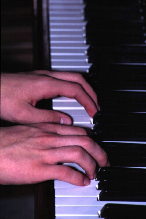 Piano Playing Hands - ID: 340014 © Lamont G. Weide