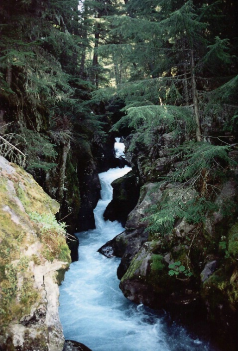 Waterfalls, Glacier NP - ID: 340060 © Lamont G. Weide