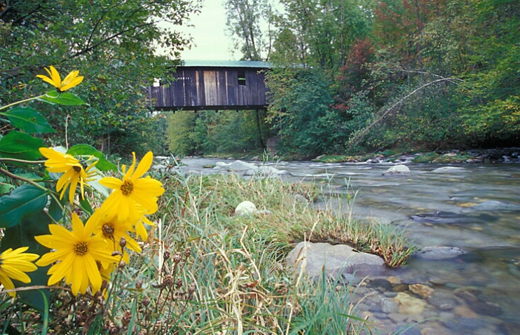 covered bridge