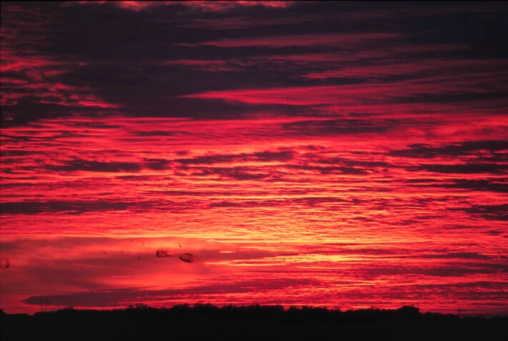 KC Sunset 5 - ID: 343009 © Lamont G. Weide