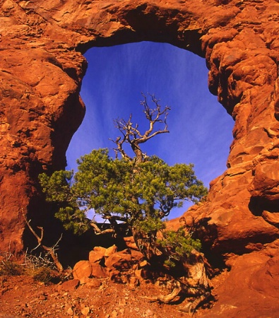 Framed in an Arch