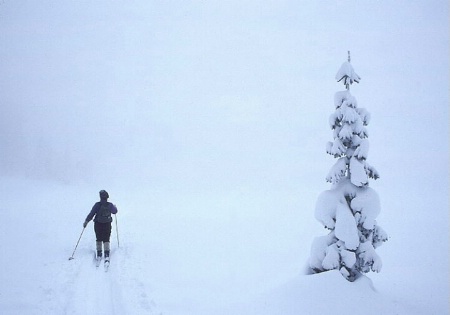 Lone Pine & Lone Skier 