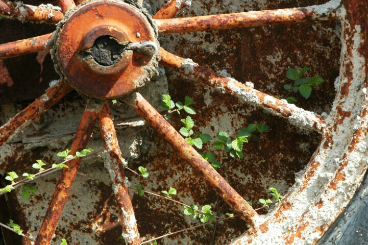 abandoned wheel