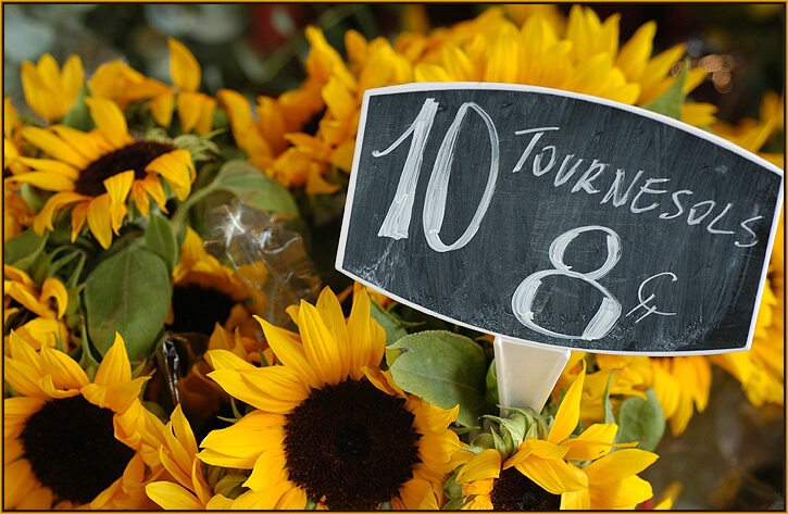 ~tournesols~