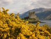 Eilean Donan Cast...