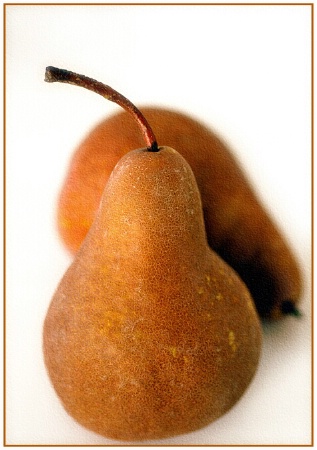 bosc pears