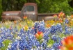 Brenham