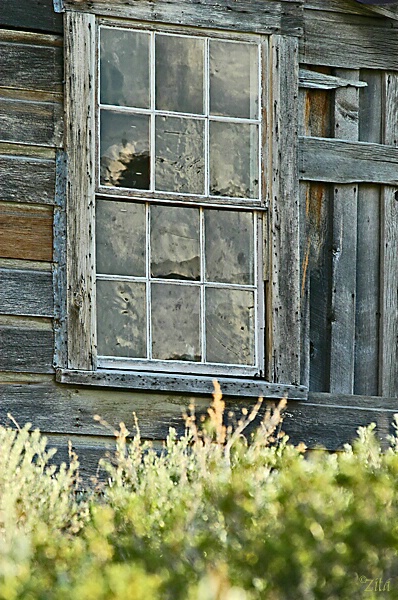 Ghost at the Window - ID: 436606 © Zita A. Strother