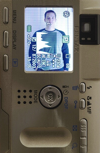 Self-portrait
