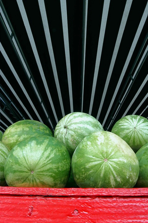 Watermelons