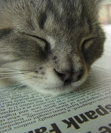 news snooze