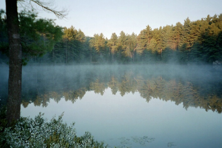 Morning Mist on Clear Lake