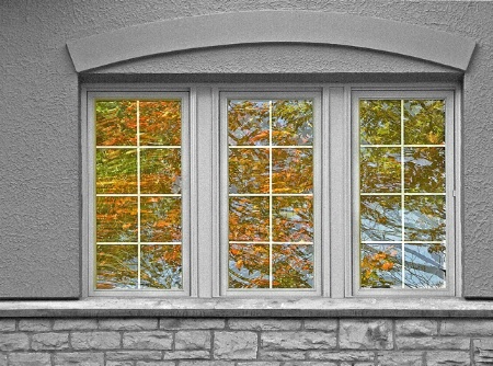 Autumn Windows