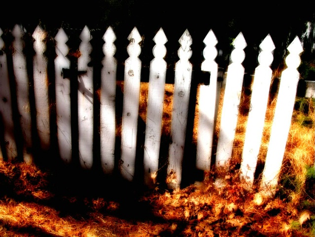 Ghost Fence