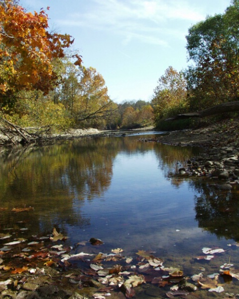 Fall creek Reflections