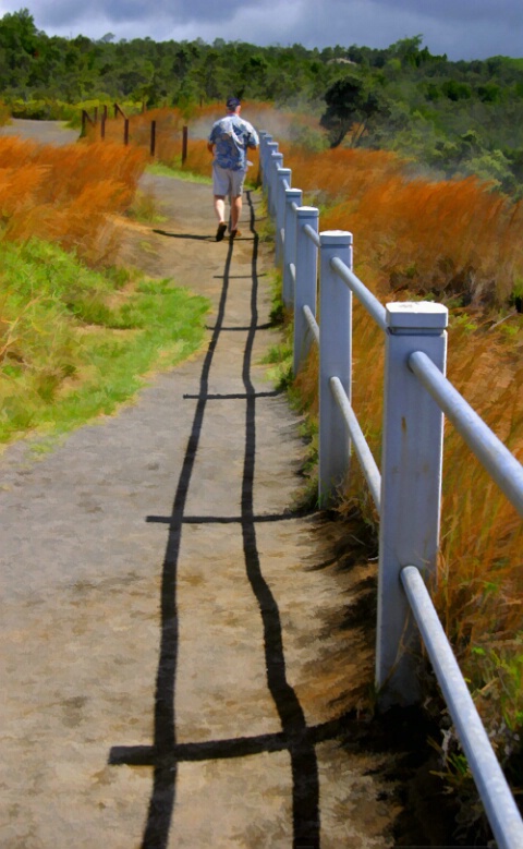 Crooked Path to the Steam Vents