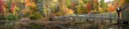 Wooden Bridge