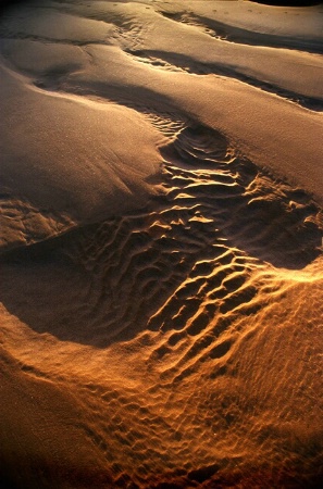 Sand Scape