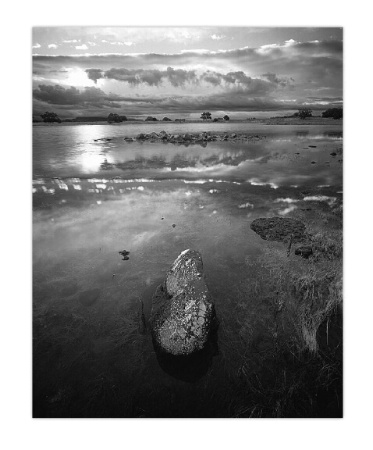 OCTOBER STORMS @ THE VERNAL POOLS