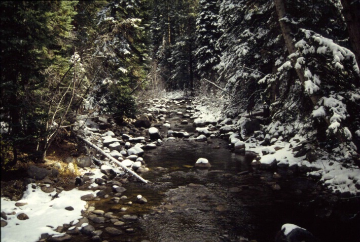 Snow & Creek - ID: 595727 © Lamont G. Weide