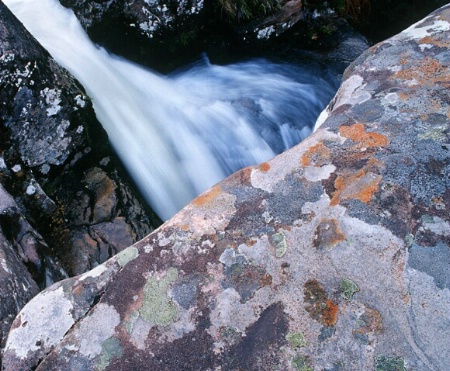 Lichen & Waterfall