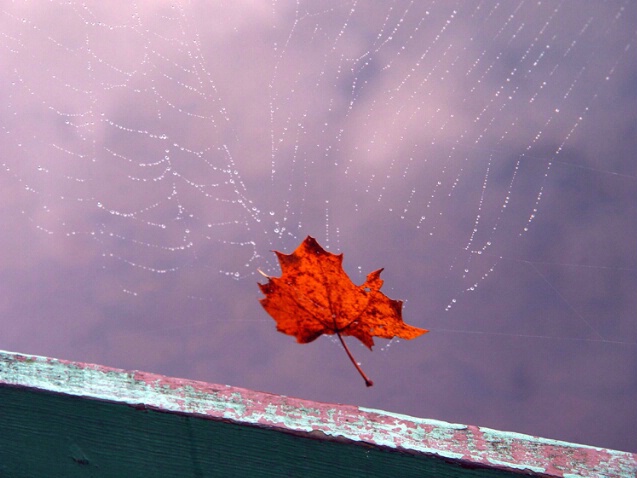 Red On The Web