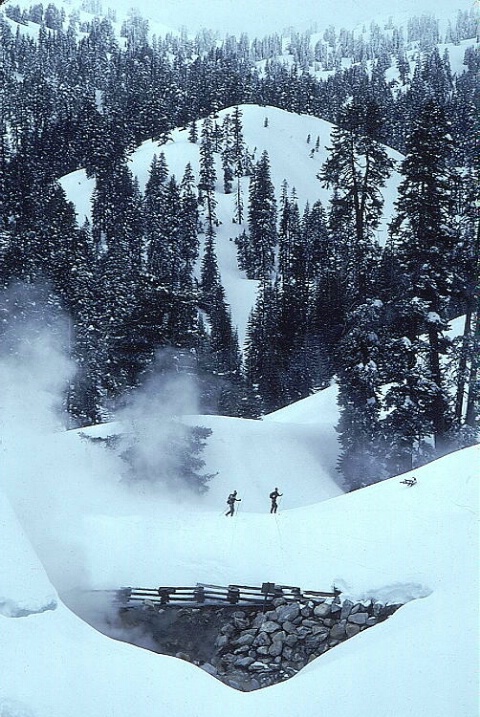 Skiers in Cascades