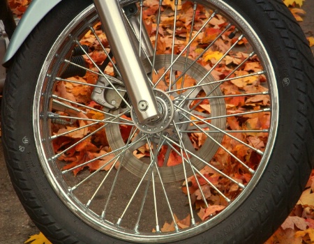 Wheels of fall...
