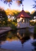 Zilker Impression...