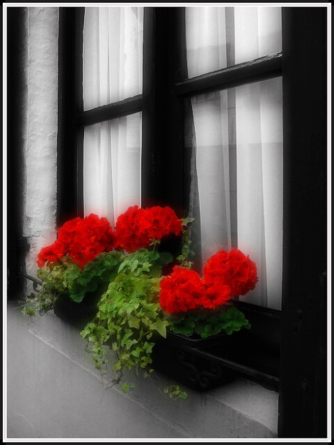 window box