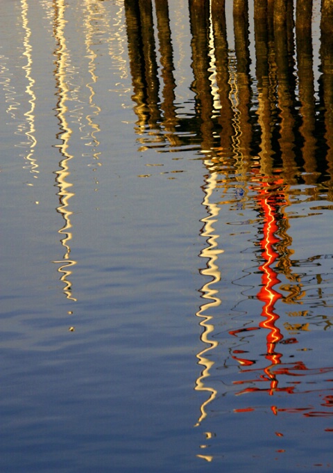 Harbor Icicles