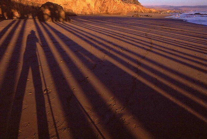 Self-Portrait and Pier Shadows