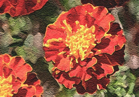 Painted Marigolds